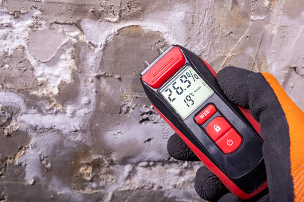 Best Mold Damage Repair  in Bangs, TX