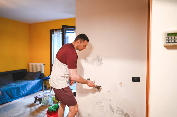 Best Toxic Mold Removal  in Bangs, TX